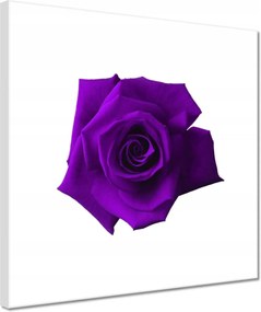 Vászonkép 30x30 Nőnap Ajándék Love