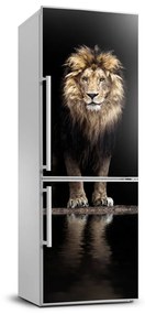 Hűtő matrica Portré egy oroszlán FridgeStick-70x190-f-118199528