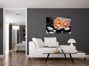 Kép - Narancssárga orchideák (90x60 cm)