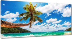Vászonkép 115x55 Trópusok Tájkép Pálmafák