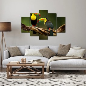 Ülő tukánok képe, Costa Rica (150x105 cm)