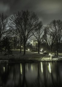 Poszter 50x70cm Central Park éjszaka 2, Assaf Frank