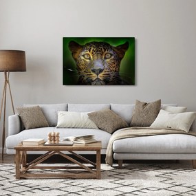 Kép - Leopárd portré, Sri Lanka (90x60 cm)