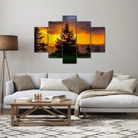 Kép - tűlevelűek (150x105 cm)