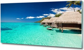 Fotó kép edzett üveg Fű a parkban 100x70