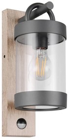 Fali kültéri lámpa (magasság 33 cm) Sambesi – Trio