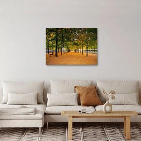 Egy kép az őszi fák sikátorából (70x50 cm)