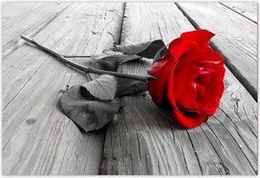 Fotótapéta flizelina 152x104 Rózsa a hídon