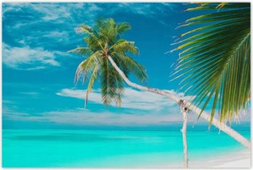 Poszterek 120x80 Tájkép Látvány