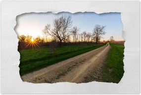 Poszterek 90x60 Mezei Ășt FĂĄk MezĆk