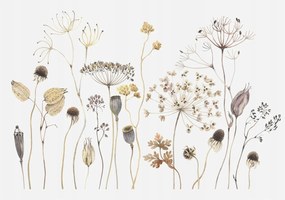 Dekoratív Fotótapéta Hálószobába Mezei virágok 208x146 Ragasztó