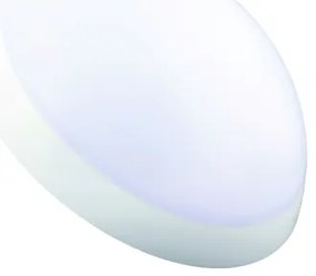 Fulgur 20994 - Műszaki mennyezeti lámpa ROMANA 1xE27/100W/230V IP64