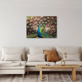 Kép - Páva (70x50 cm)