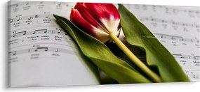 Egy vörös tulipán képe (120x50 cm)