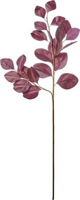 FLORISTA eukaliptusz 90 cm , lila