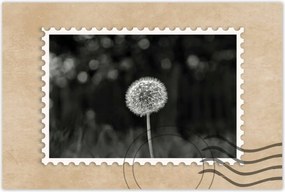 Poszterek 90x60 Pitypang