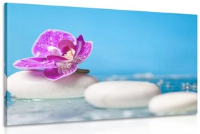Kép orchidea és Zen kövek