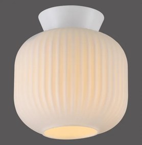 Schöner Wohnen 13574-16 - Mennyezeti lámpa NAMI 1xE27/25W/230V átm. 20 cm fehér