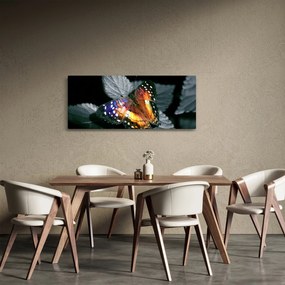 Pillangó képe (120x50 cm)