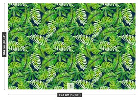 Fotótapéta trópusi levelek 104x70 cm