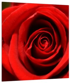 Rózsa virág részletes képe (30x30 cm)