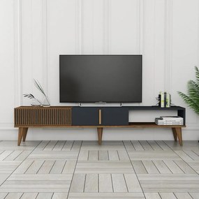 TV szekrény Milan Alt - Diós, Antracit