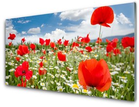 Akrilkép Mezei virágok Természet 100x50 cm