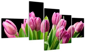 Kép - tulipán (150x85cm)