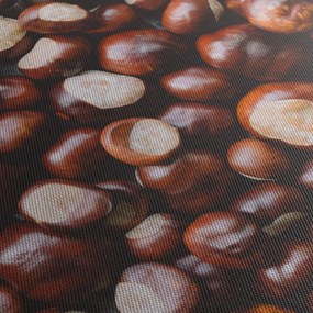 Kép - Érett gesztenye (120x50 cm)