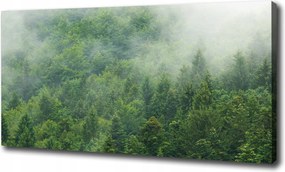 Vászonkép Rejtélyes erdő 100x70 cm