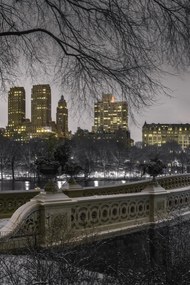 Poszter 40x60cm Központi park Manhattan panorámával, Assaf Frank