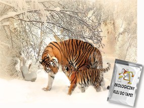 Fotótapéta Flizelina Tigrisek a hóban 300x210 ragasztó