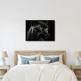 Kép - Fekete Párduc (70x50 cm)