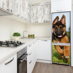 Hűtő matrica Német juhász FridgeStick-70x190-f-109543381