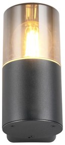 Kültéri lámpa (magasság 17,5 cm) Hoosic – Trio