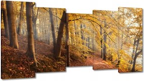 Festmények 150x80 Tájkép Látvány