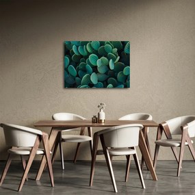 Kép - Opuntia (70x50 cm)