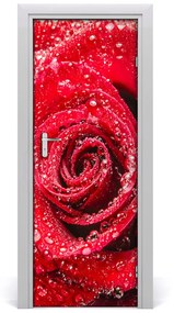 Ajtó tapéta vörös rózsa 75x205 cm