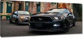 Vászonkép 100x40 Fekete amerikai szörny