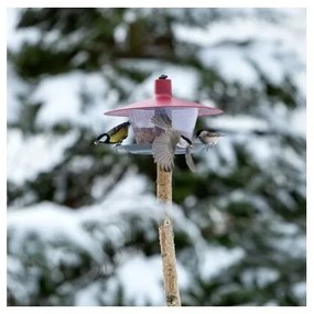 Finch madáretető, piros