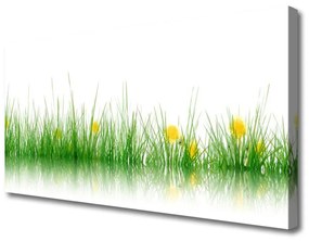 Vászonkép nyomtatás Nature Flowers Grass 100x50 cm