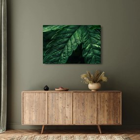 Kép - A lap részletei (90x60 cm)