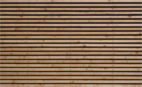 Flizelin fotótapéta Fa Minimalizmus Természetes textúra 254x184 +ragasztó