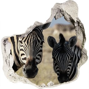 3d-s lyuk vizuális effektusok matrica Két zebrák nd-p-70684470