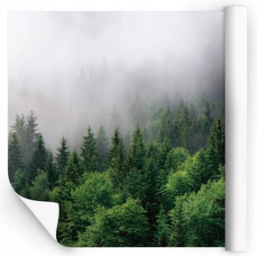Fotótapéta erdő a ködben Vinil méretre vágva
