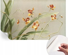 Divatos öntapadós fali tapéta Orchidea klasszikus 416x254 cm