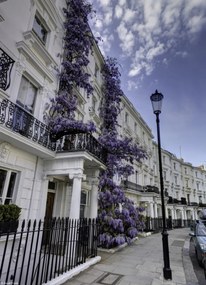 Poszter 20,5x28,4cm Ház a Portobello úton, Assaf Frank