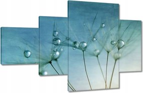 Vászonkép 130x80 Pitypang Virág Virágok