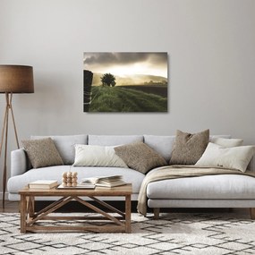 Egy rét képe (üvegen) (70x50 cm)
