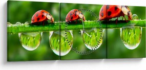 Kép - A hét nap napfénye (órával) (90x30 cm)